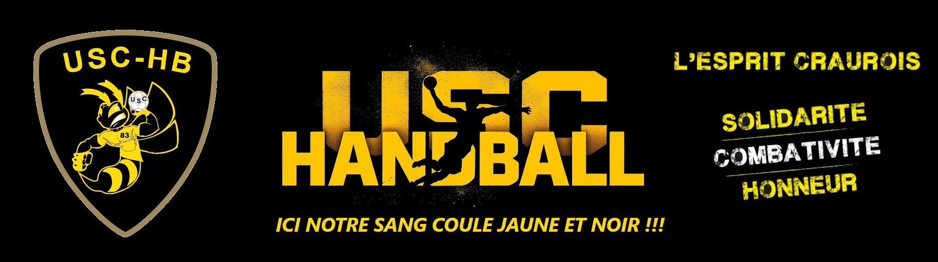 uschandball.fr
